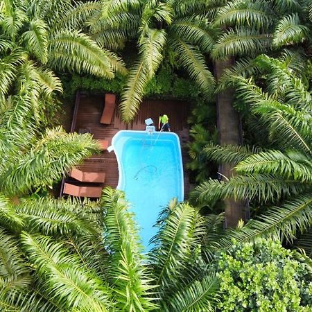 Khaosok Good View Resort - Sha Plus Khao Sok National Park Exterior photo