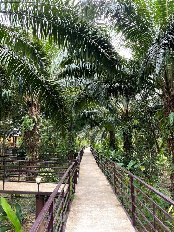 Khaosok Good View Resort - Sha Plus Khao Sok National Park Exterior photo