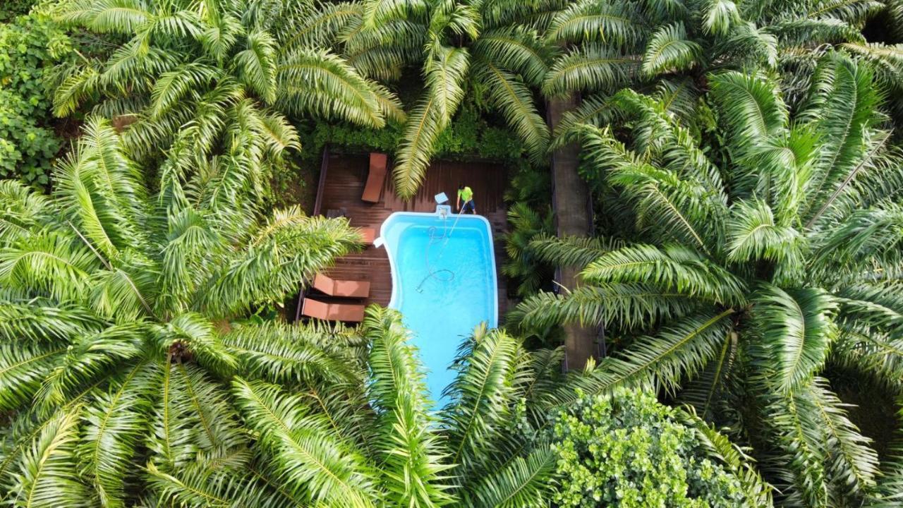Khaosok Good View Resort - Sha Plus Khao Sok National Park Exterior photo